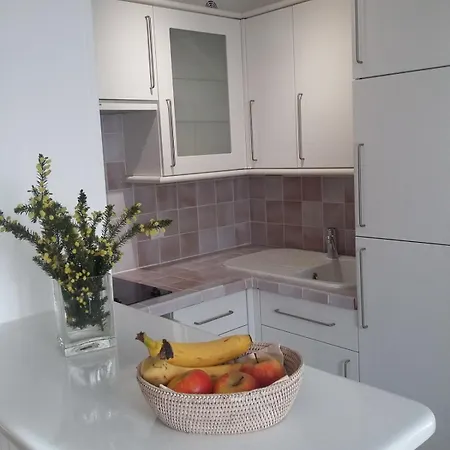 Charming 4 Studio With Pool And Garage سان تروبيه